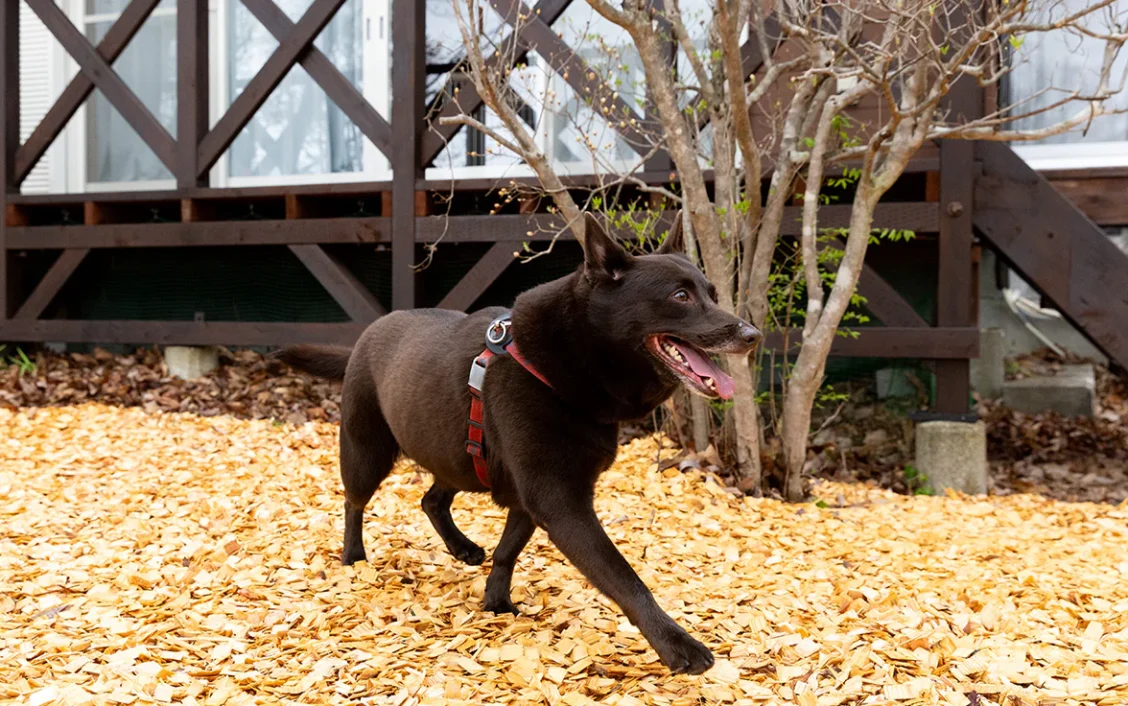 rinne 那須 Garden Ⅲ