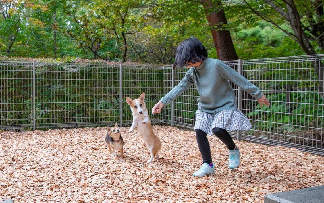 rinne 2nd living Nasu Garden