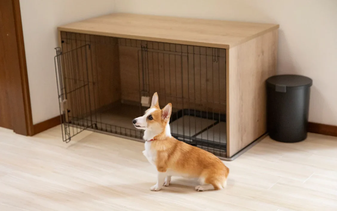 rinne 2nd living Nasu Garden